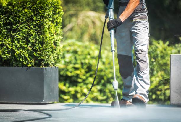 Best Spring Cleaning  in Wills Point, TX