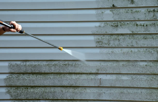 Best Fence Cleaning  in Wills Point, TX