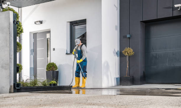Animal Enclosure Cleaning in Wills Point, TX